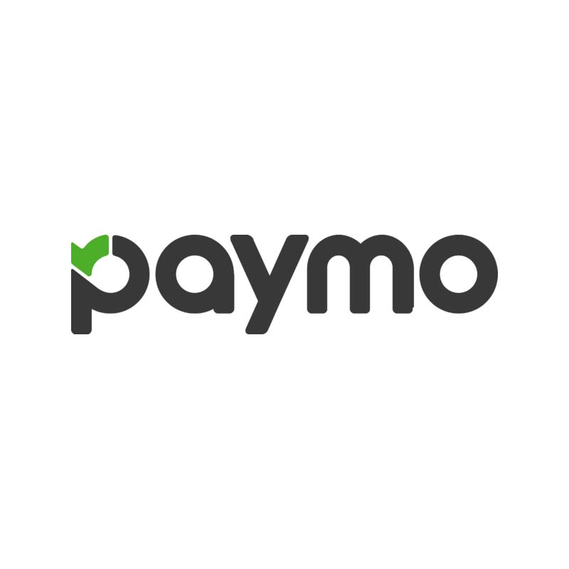 #4 Best Microsoft Project Alternative: Paymo