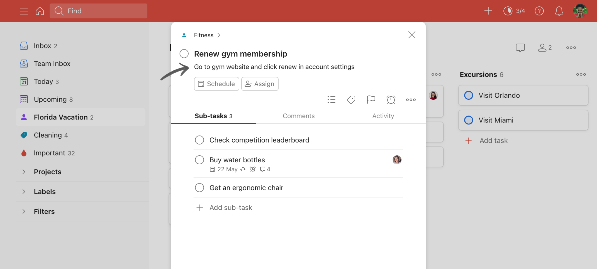 TickTick vs Todoist: Todoist task notes