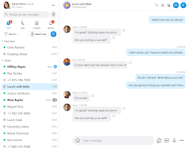 19 Best Work-From-Home App Options for communication  - #4 Skype