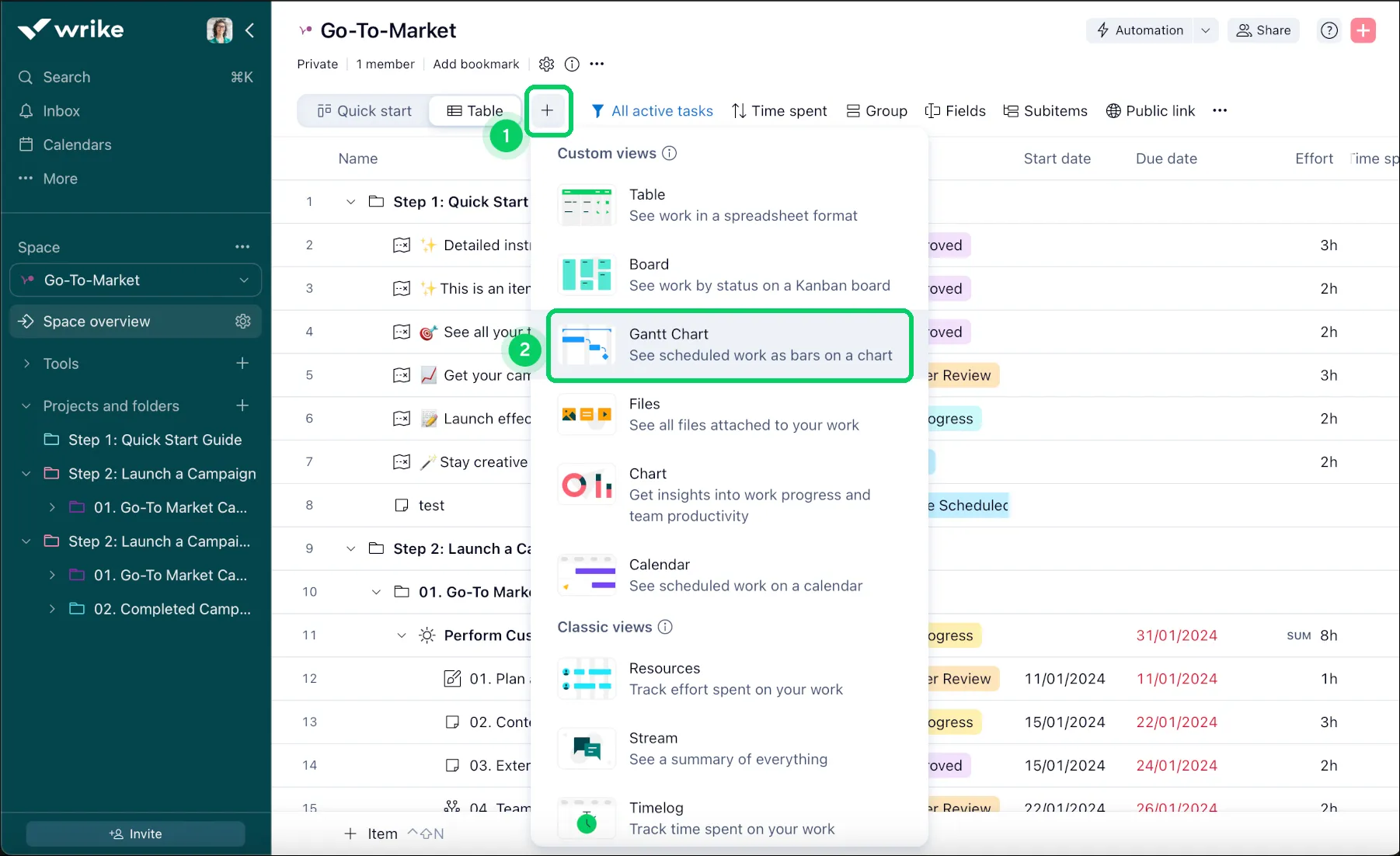 Project view options in Wrike project management software